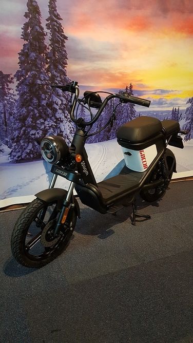 AGM Goccia Elektrische Scooter